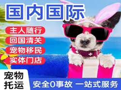 克拉玛依古海空运地址国际宠物托运 【国